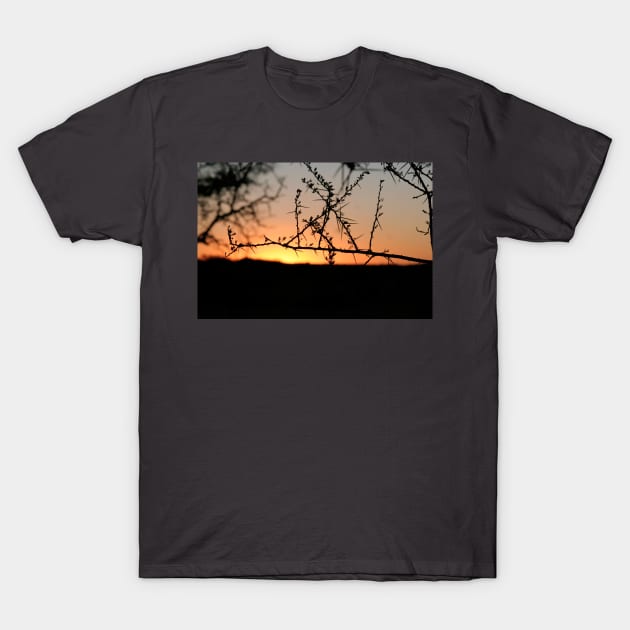 African sunset T-Shirt by LitchiArt